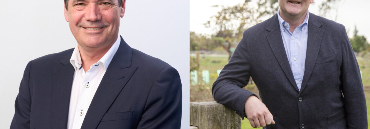 Wiese and Brone 2025